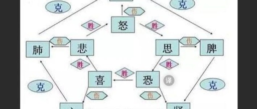 Emotional Care in Traditional Chinese Medicine: Factors Influencing Emotional Changes