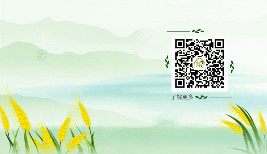 The Medicinal Value of Job's Tears (Coix Seed)