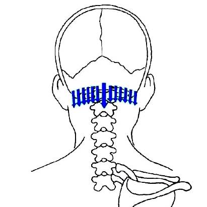 Special Gua Sha Techniques (The Essence of Gua Sha)