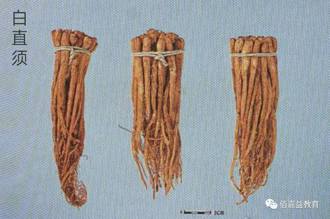 How to Distinguish Genuine from Fake Ginseng