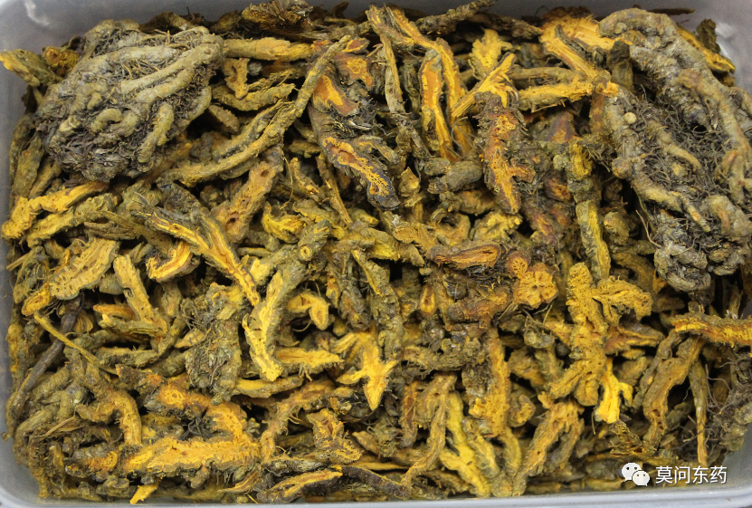 Discussion on Clearing Heat and Drying Dampness: Purging Fire and Detoxifying