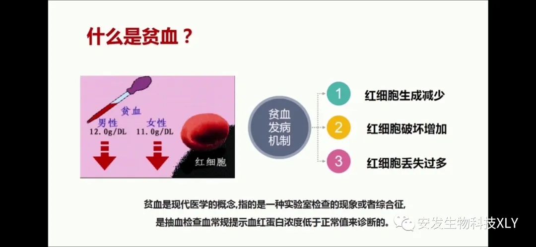 Manifestations and Regulation of Blood Deficiency