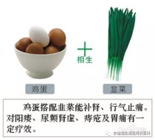 A Comprehensive Guide to Complementary and Contradictory Foods in TCM