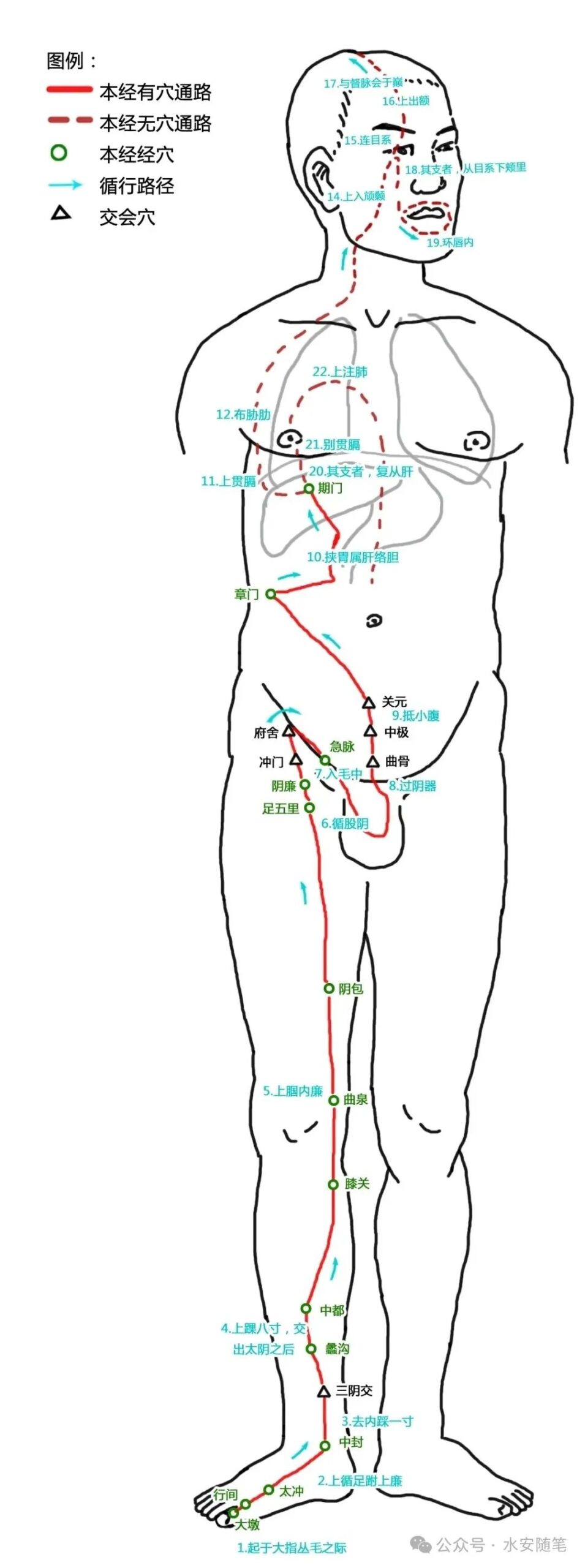 The Pathways of Meridians: A Traditional Chinese Medicine Guide