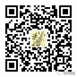 Comprehensive Guide to Tongue Diagnosis and Associated Conditions in TCM