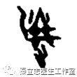 The Six Evils of Wind, Cold, Heat, Dampness, Dryness, and Fire in Traditional Chinese Medicine