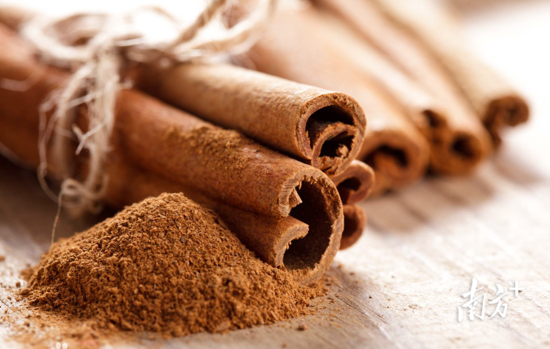 The Thousand-Year Spice: An Addiction to Luoding's Cinnamon | A Look at Lingnan Specialties