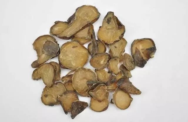 Aconite (Fu Zi) - Properties, Uses, and Preparation in Traditional Chinese Medicine