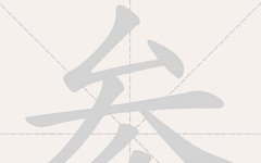 Selecting Ginseng Based on Medicinal Properties: Understanding Different Types for Optimal Benefits