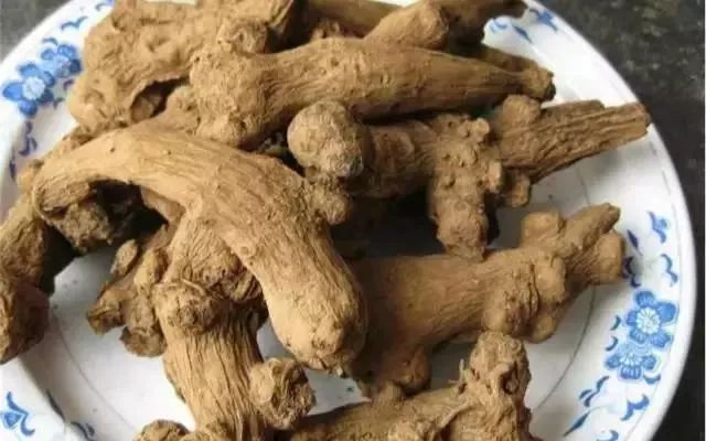 The Top Benefits of Astragalus: Pairing It for Disease Prevention!