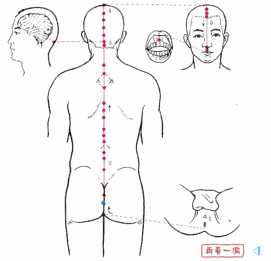 Detailed Explanation of the Eight Extraordinary Meridians
