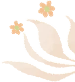 Winter Health Preservation: TCM Dietary Therapy for Nourishment