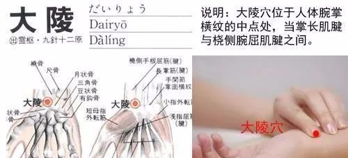50 Common Acupuncture Points for Treating Various Ailments