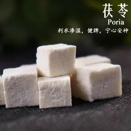 Daily Herb | Poria