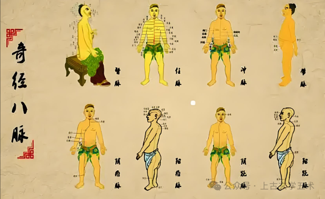 The Marvelous Uses of the Eight Extraordinary Meridians Acupoints in Acupuncture