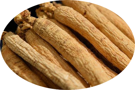 Understanding Ginseng Varieties: Red Ginseng, American Ginseng, and More