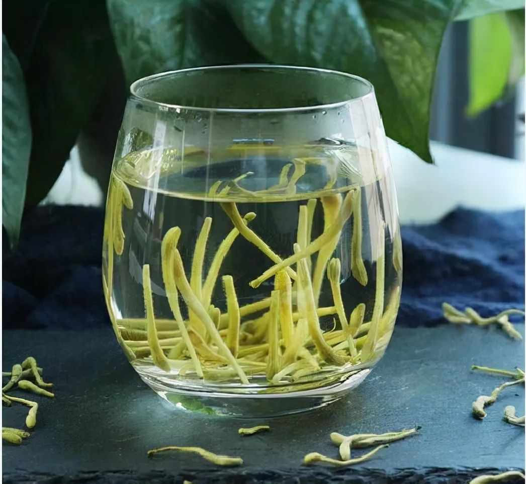The Efficacy and Uses of Honeysuckle: What to Pair It With for Optimal Benefits
