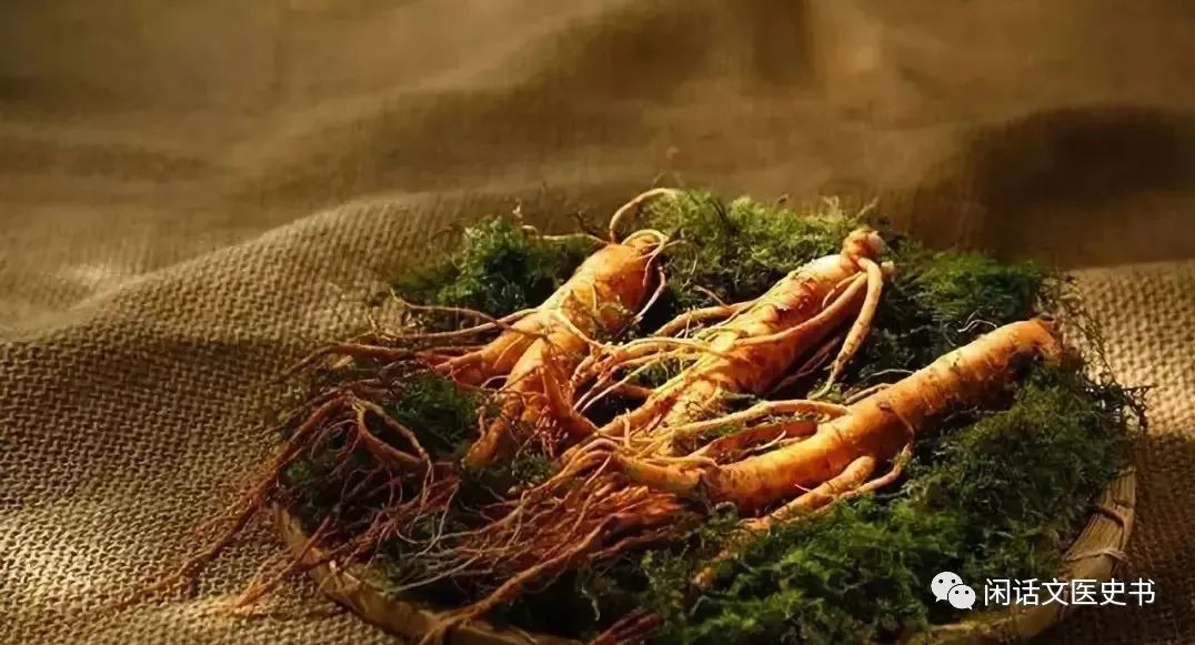 A Brief Discussion on Ginseng