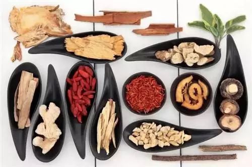 Clinical Applications of Fuzi (Aconite)