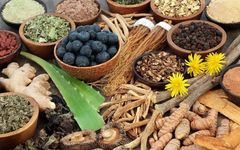 Seven Types of Body Constitution Adjustment: Qi Deficiency Constitution
