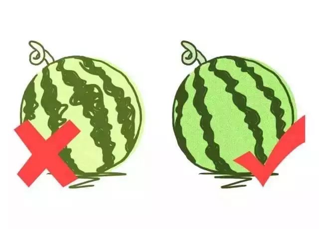 Fruits Classified by Cold and Heat: Eating According to Body Constitution