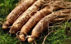 What to Eat for Qi, Blood, Yin, and Yang Supplementation in Traditional Chinese Medicine?