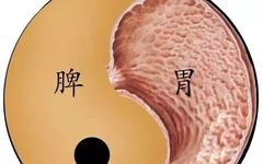What is "Phlegm-Dampness" in Traditional Chinese Medicine?