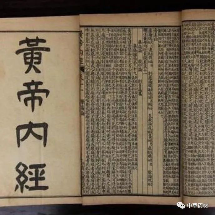 Understanding the Essentials of the Huangdi Neijing in 10 Minutes (Save for Study)