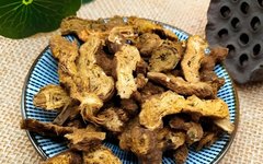 Daily Learning of Chinese Herbs: Cang Zhu (Atractylodes)