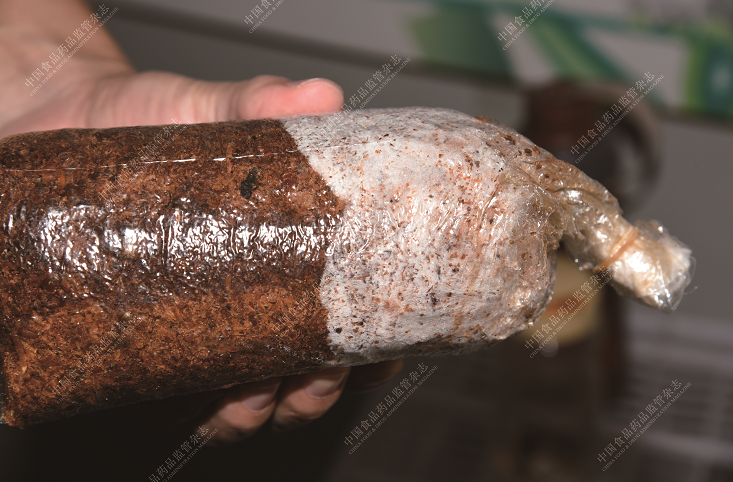 Poria Cocos: A Study of Authentic Medicinal Materials