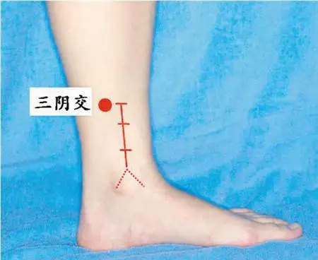47 Unique Acupuncture Points Worth Seeing! (Collector's Edition)