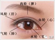 Observational Diagnosis in Traditional Chinese Medicine: Comprehensive Notes