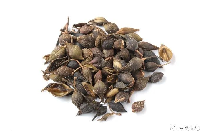 Clearing Heat and Detoxifying Herbs