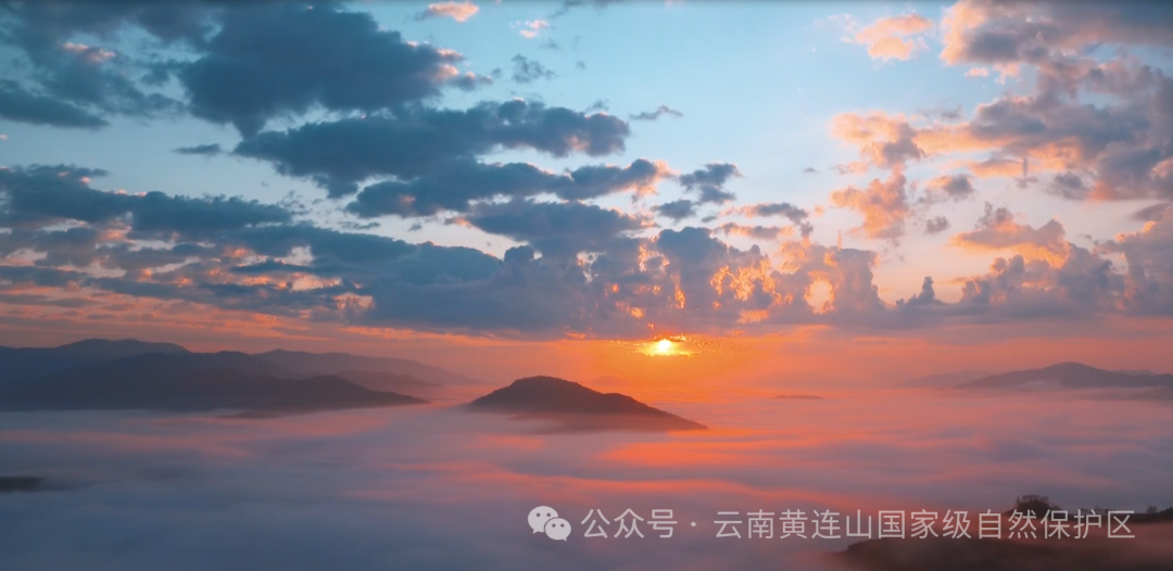 Yunnan Huanglian Mountain: Sowing Hope on Arbor Day