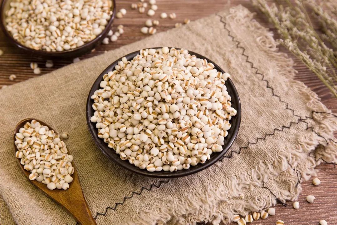 The Dual Role of Coix Seed in Medicine and Food