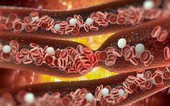 Blood Stasis Causes Various Illnesses: A TCM Approach to Unblock Blood Vessels and Eliminate Stasis!