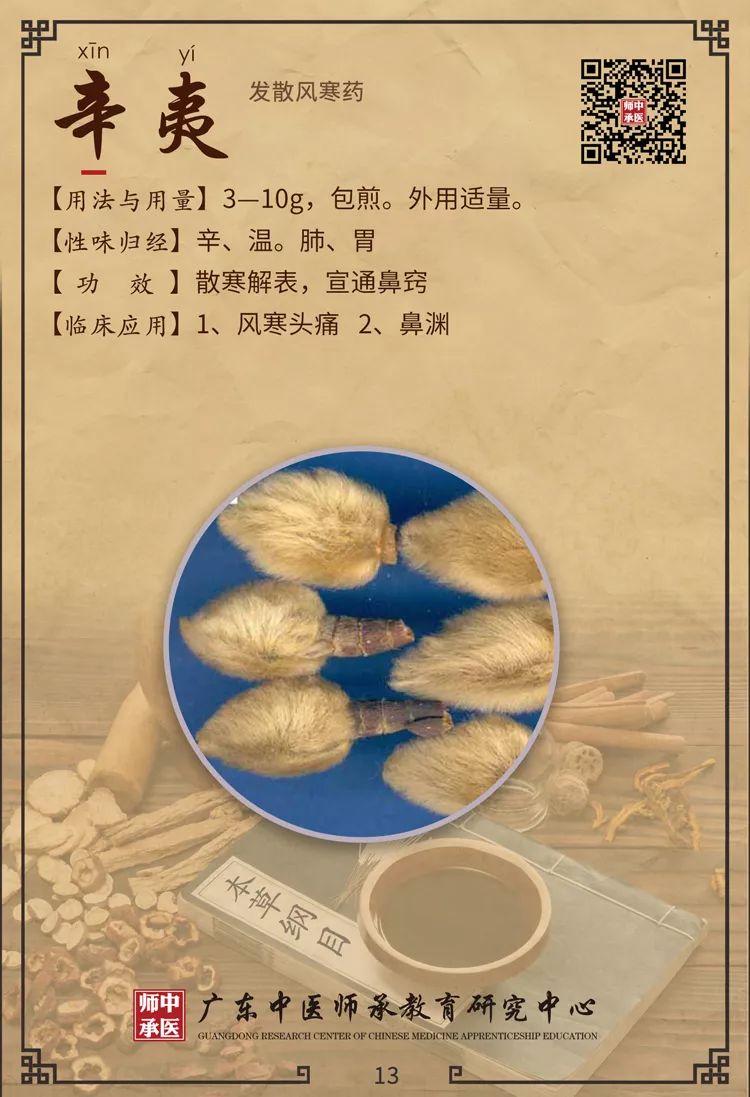 Traditional Chinese Medicine Insights: Differentiating Between Wind-Cold and Wind-Heat in Common Colds