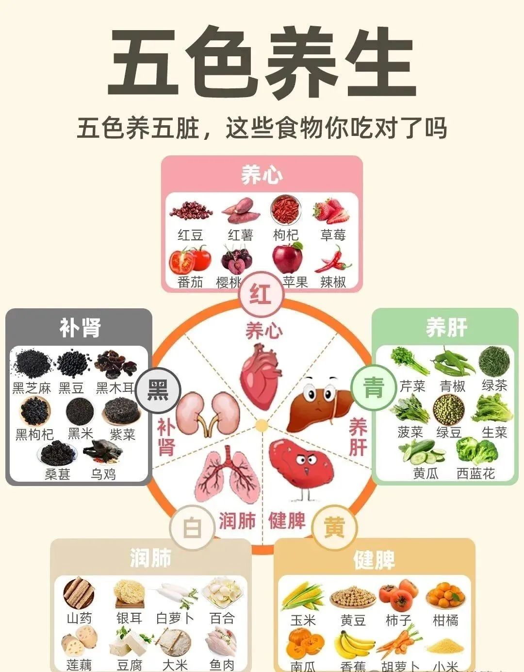 Foundations of Destiny: The Five Elements and the Five Organs