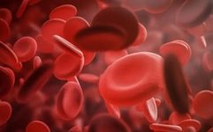 Understanding Blood Deficiency in Traditional Chinese Medicine