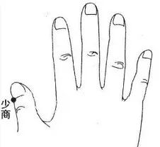 The Therapeutic Effects of Bloodletting in Traditional Chinese Medicine