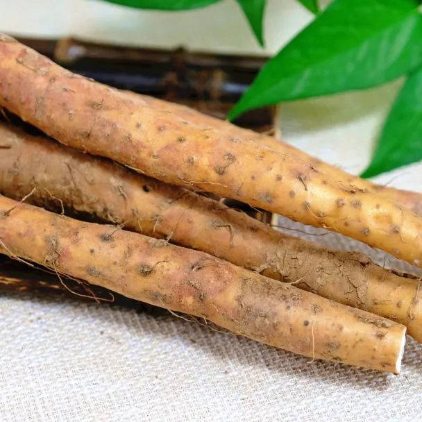 Delicious Recipes for Strengthening the Spleen, Moistening the Lungs, Nourishing the Kidneys, and Generating Fluids: Nourishing Vegetarian Soups!