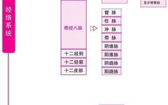 Diagram of the Twelve Meridians (Latest)