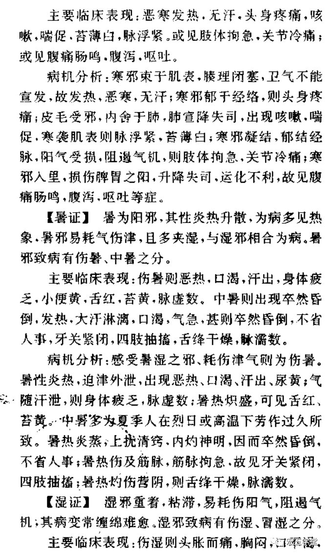 Diagnosis in Traditional Chinese Medicine: Understanding the Six Excesses