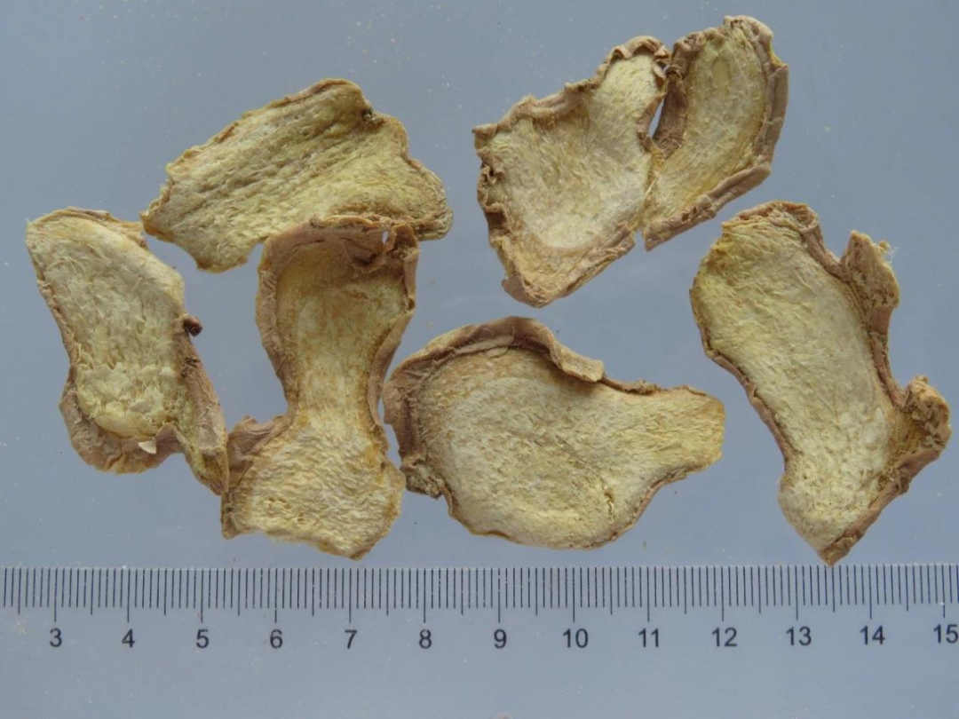 Weekly Herb | Do You Really Understand Dried Ginger? Learn with Jinan Ethnic Hospital