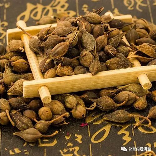 Understanding Wind-Heat Cold in Traditional Chinese Medicine