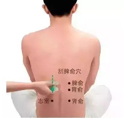 Specific Gua Sha Techniques for the Whole Body: Please Remember!