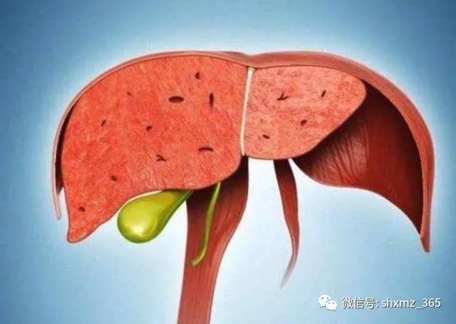The Dangers of Liver Qi Stagnation: A Self-Assessment Guide