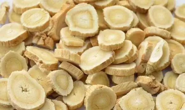 Three Major Benefits and Precautions of Drinking Astragalus Tea