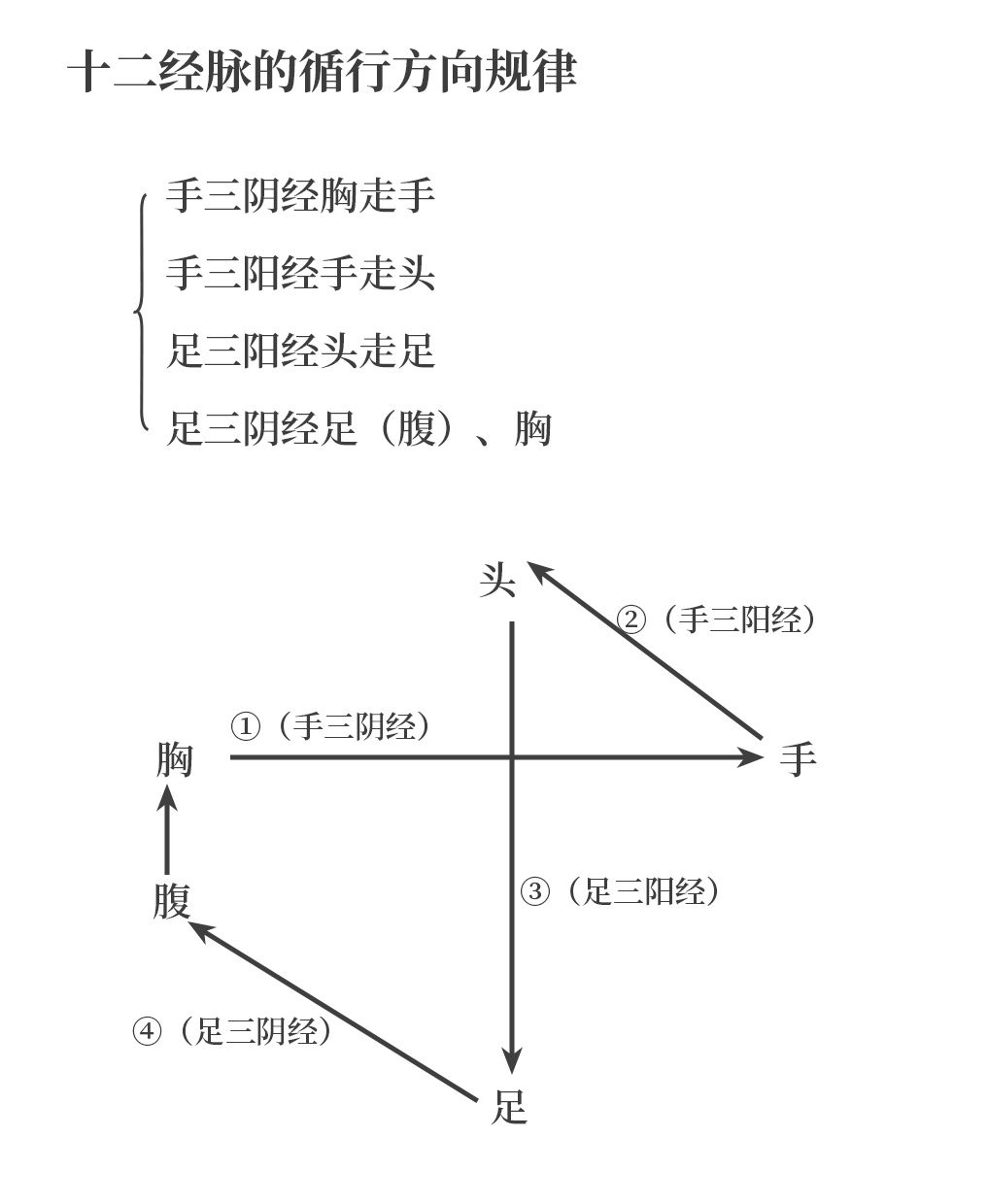 The Pathways and Interconnections of the Twelve Meridians