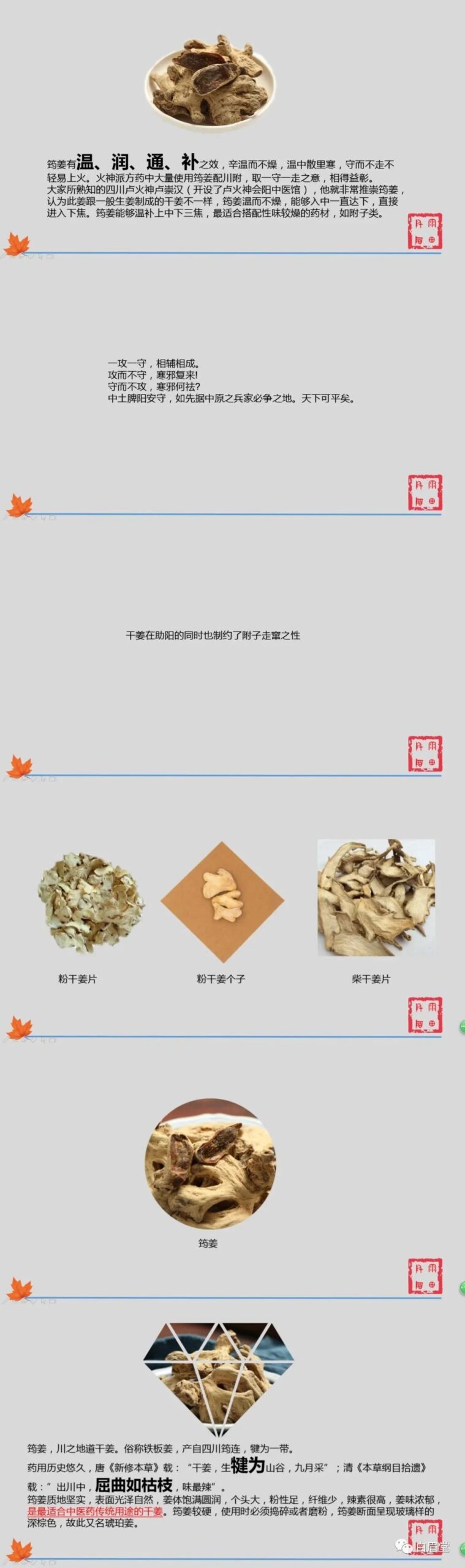 Ginger (Gan Jiang): A Comprehensive Overview of Its Properties and Uses in Traditional Chinese Medicine